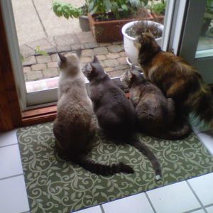 Meet your Posher, Vicky